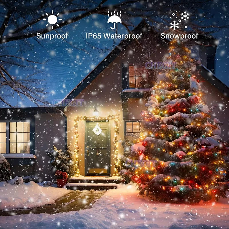 RGBIC Dream Color Addressable LED String Light WS2812B USB Bluetooth Remote Music Sync Waterproof Fairy Lamp For Christmas Decor Vue