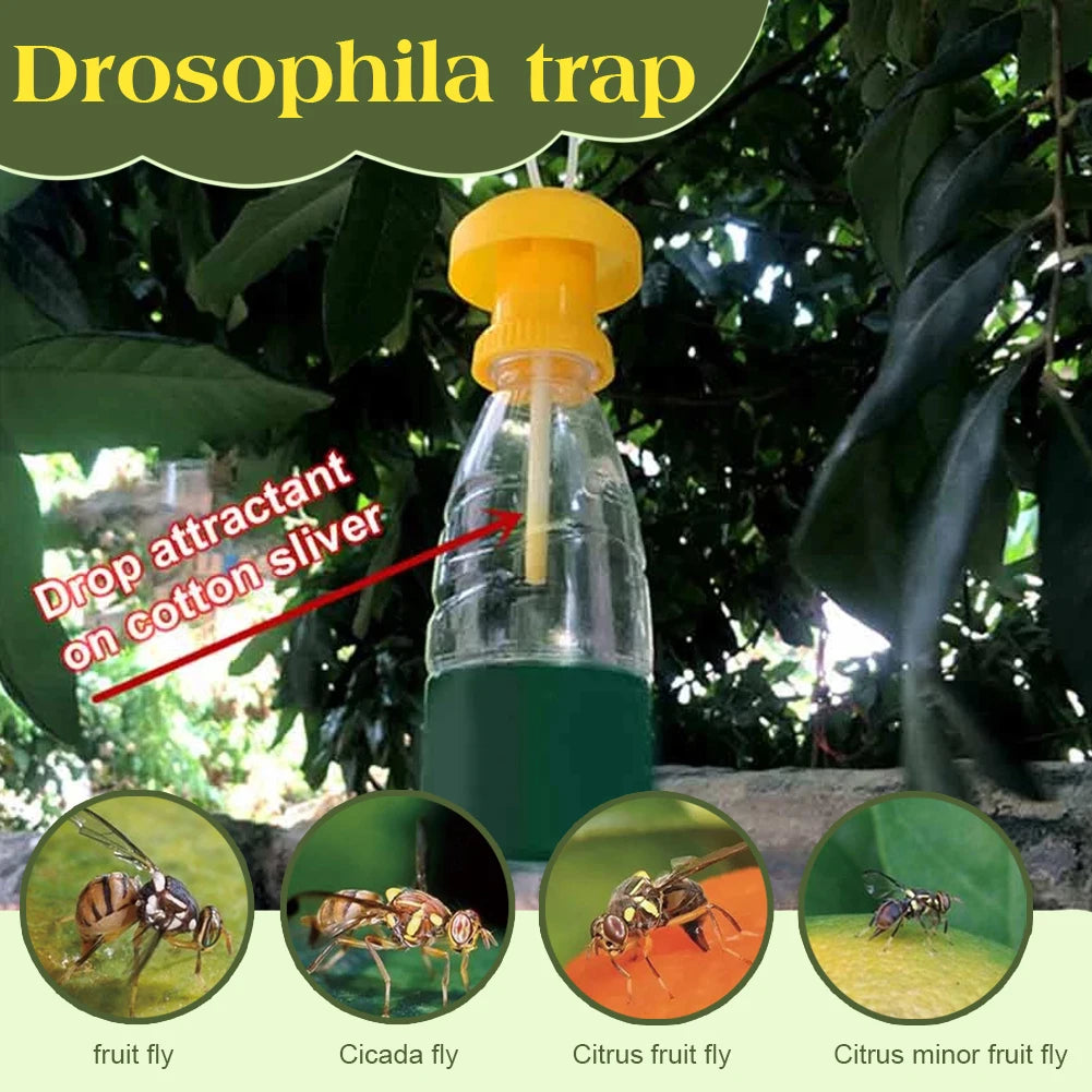 20Pcs Fruit Fly Traps with Fly Attractant Liquid Plastic Fruit Fly Killer Reusable for Courtyard Terrace Patio Control Vue
