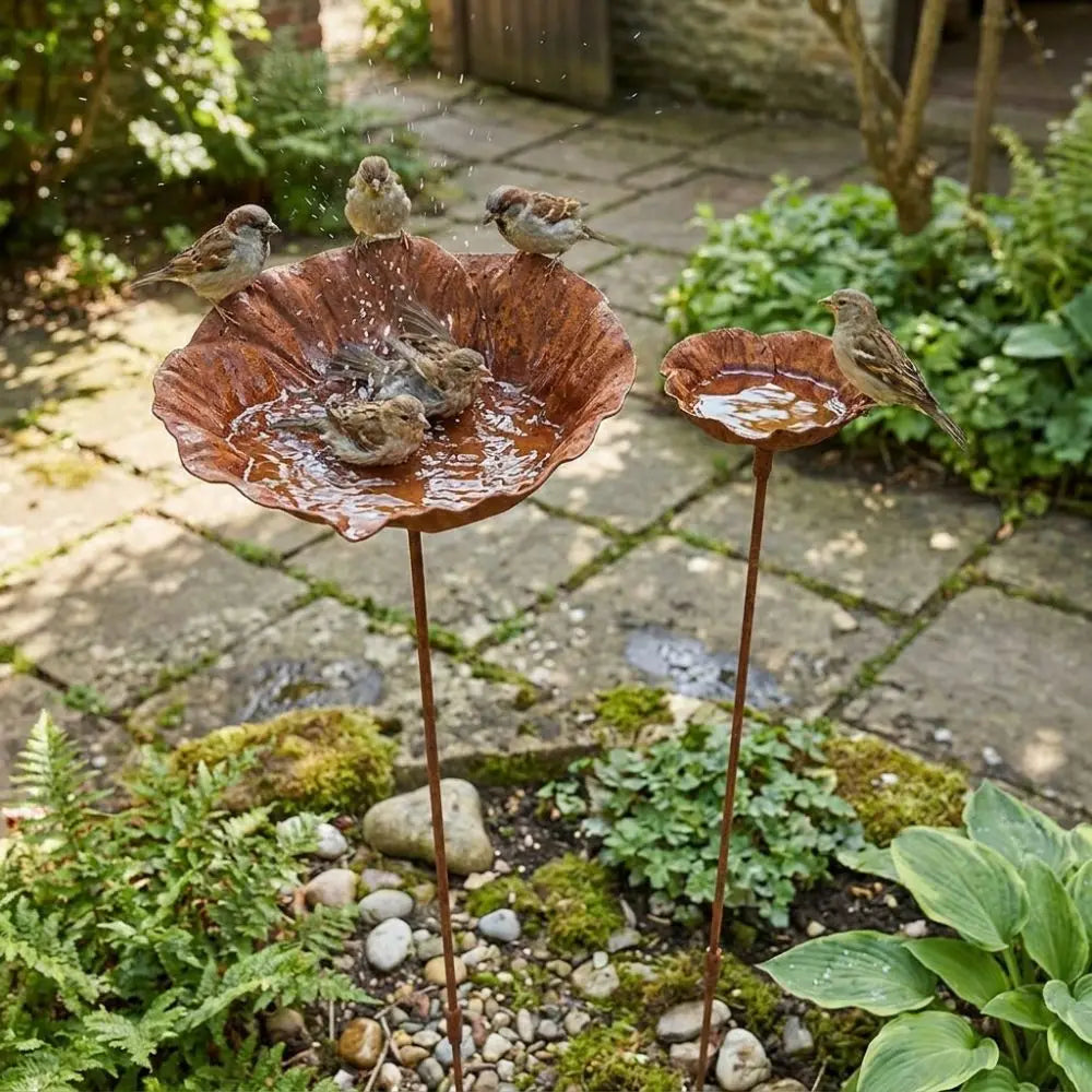 Flower Shape Metal Bird Bath Iron Art Rusted Vintage Bird Water Dispenser Ground Insert Handcrafted Garden Birdbath Vue