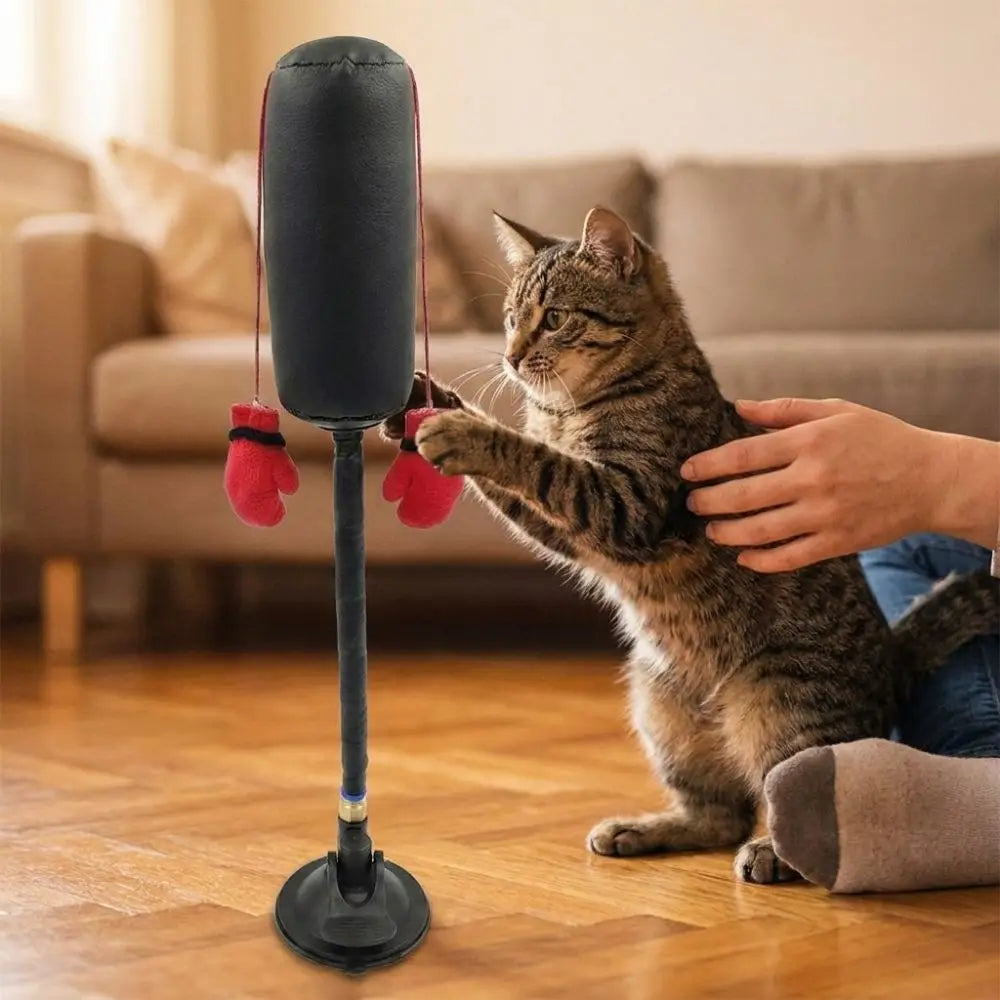 Suction Cup Cat Boxing Toy Scratch Trainer Bite Resistant Interactive Cat Toy Scratch Resistant Self-standing Cat Boxing Game Vue