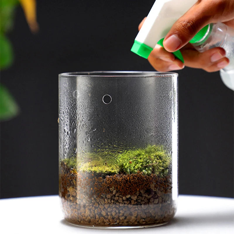 Multi-size Glass Bottle Creativity Dew Collection Glass Vase Micro Landscape Succulent Moss Landscape Glass Terrarium Home Decor Vue