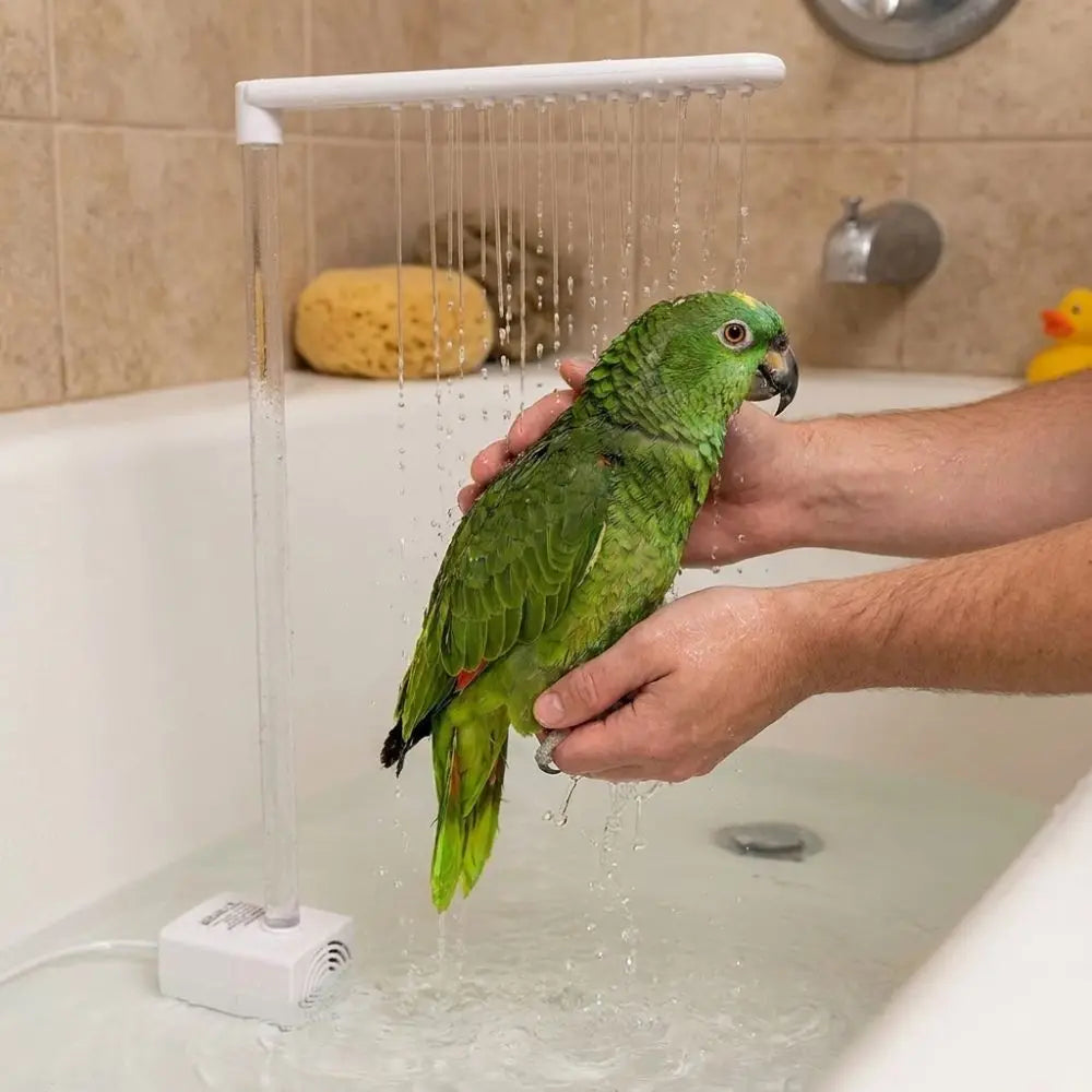 Automatic Parrot Bathing Pump Large Water Flows Low Noise Bird Bath Fountain Circulating Water Energy Saving Vue