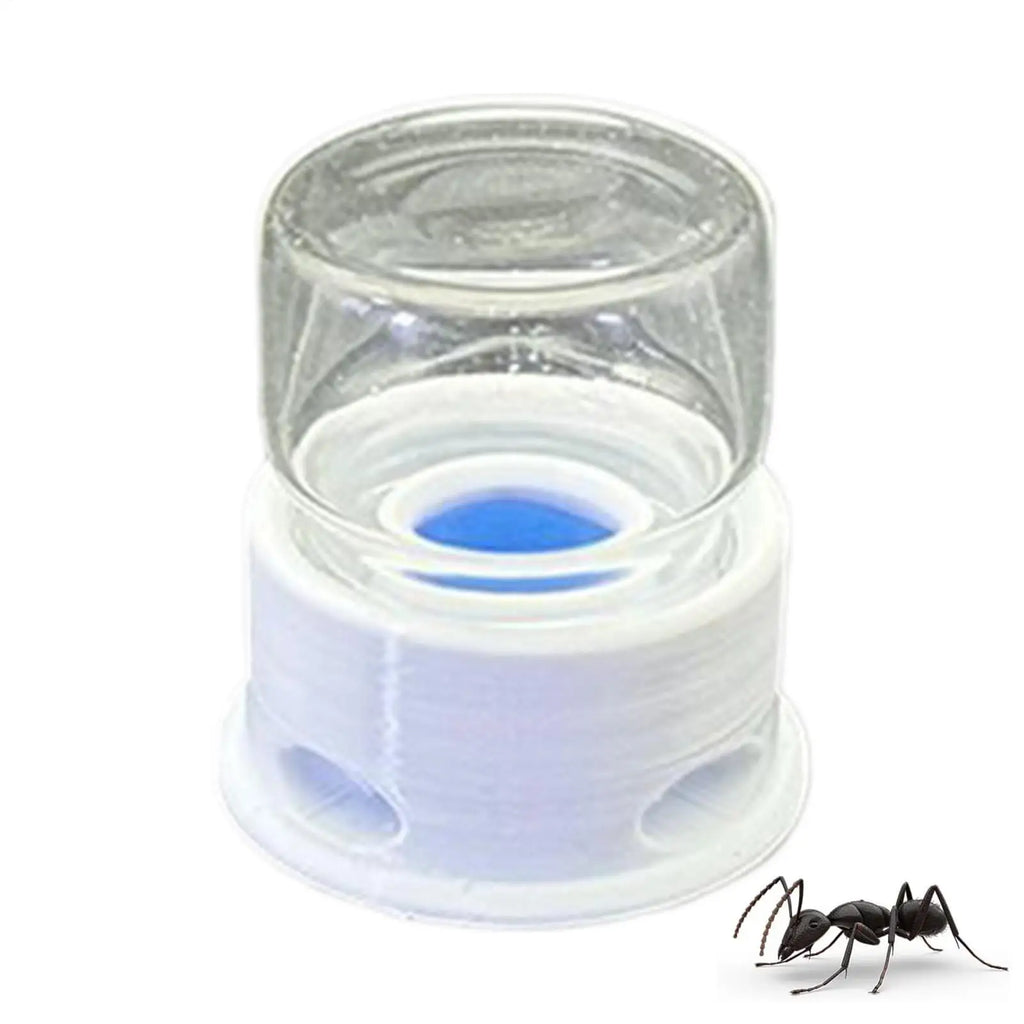 12ml Transparent Ant Water Feeder Anti Drowning Drinking Station for Bee Cricket Home Classroom Outdoor Bug Waterer Vue