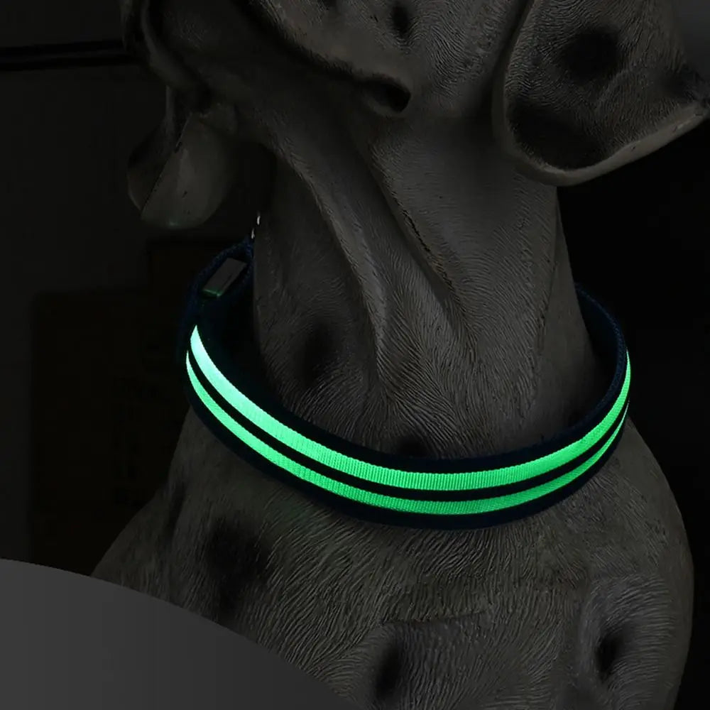 Adjustable Light Up Dog Collar Nylon Material Flashing Light LED Glowing Dog Neck Ring Waterproof Anti-Lost Vue