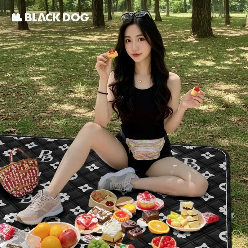 Naturehike BLACKDOG Folding Picnic Mat 200x200cm | Camping Cushion Folding Picnic Mat Vue