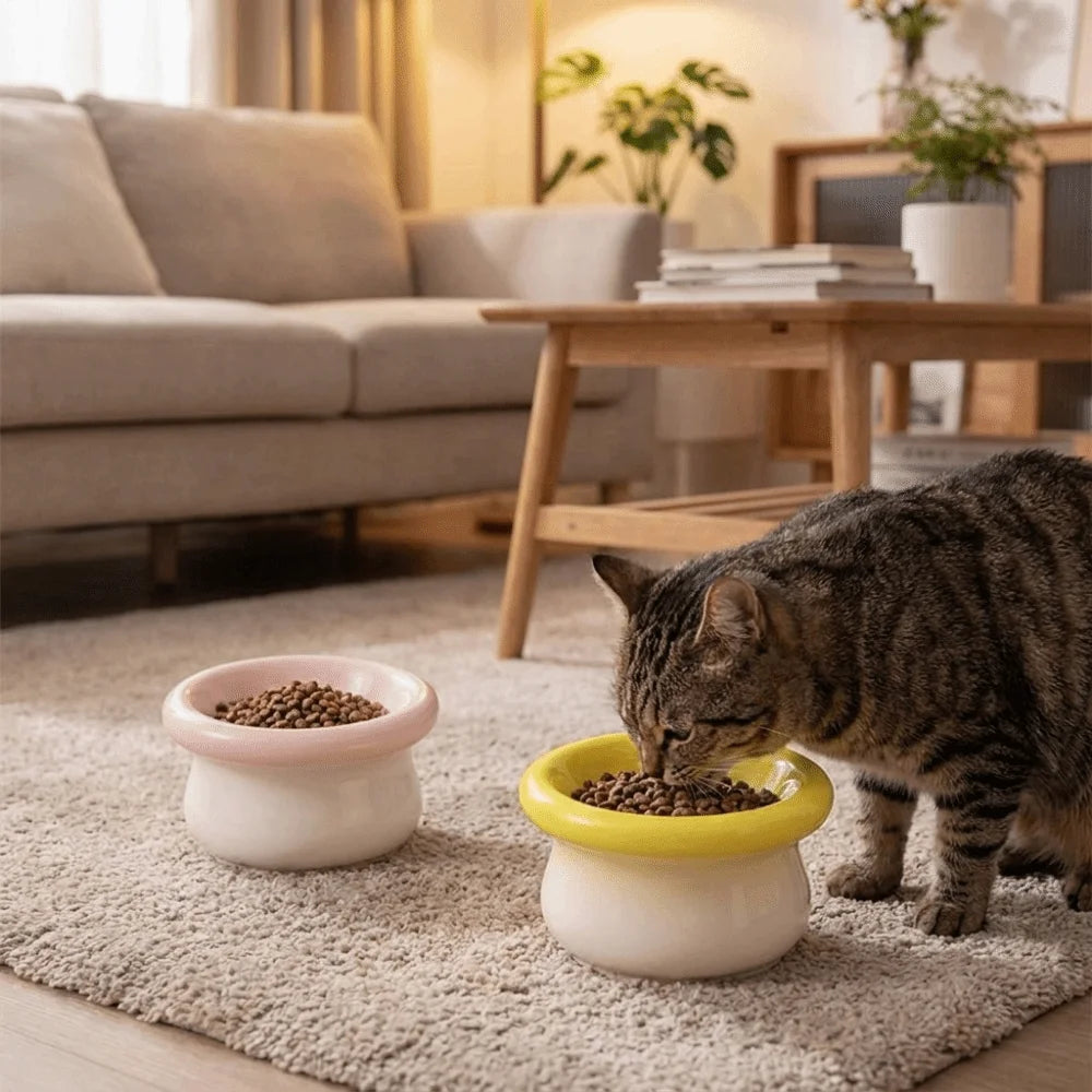 Ceramic Pet High Foot Bowl Large Capacity Neck Protection Cat Elevated Bowl Flat Mouth Non-slip Pet Food Bowl for Feeding Vue