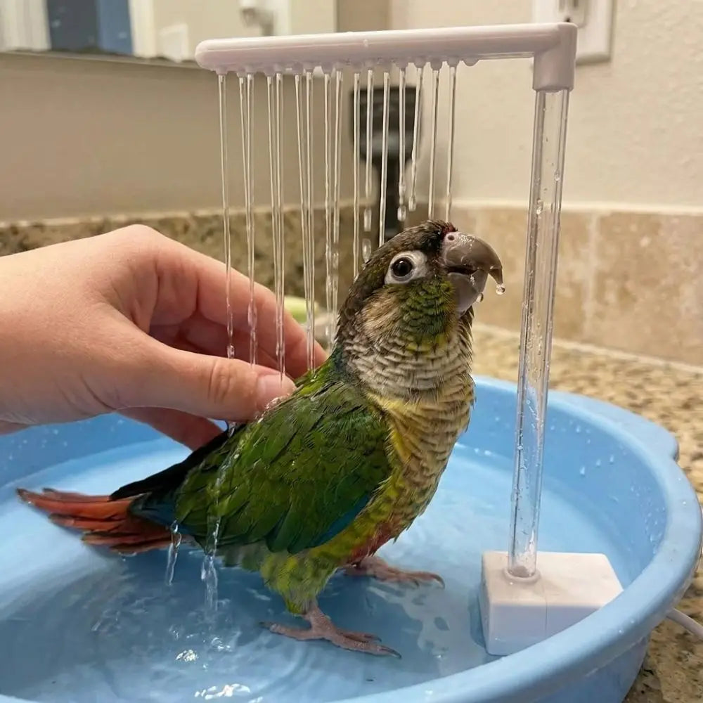 Automatic Parrot Bathing Pump Large Water Flows Low Noise Bird Bath Fountain Circulating Water Energy Saving Vue
