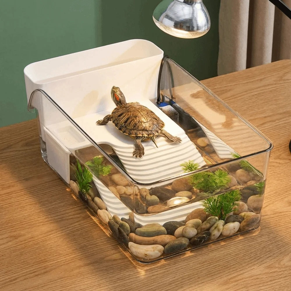 Transparent Turtle Tank Basking Area Plastic Reptile Terrarium with Climbing Spot Dry Wet Separation Turtle Basking Platform Vue