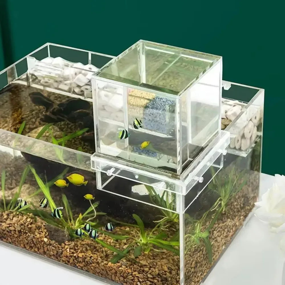Landscaping Negative Pressure Fish Tank Unique Eye-catching Acrylic Suspended Fish Tank Easy to Install Vue