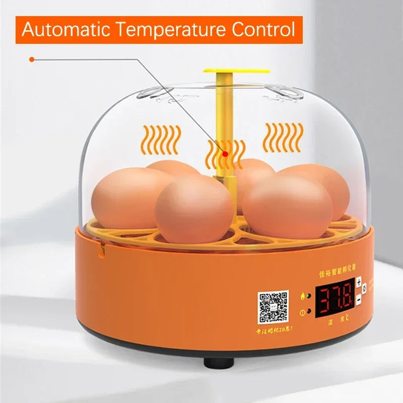 6 Eggs Automatic Turning Fully Hatchery Incubator Egg Brooder Machine Mini Household Digital Temperature Control Hatching Device Vue