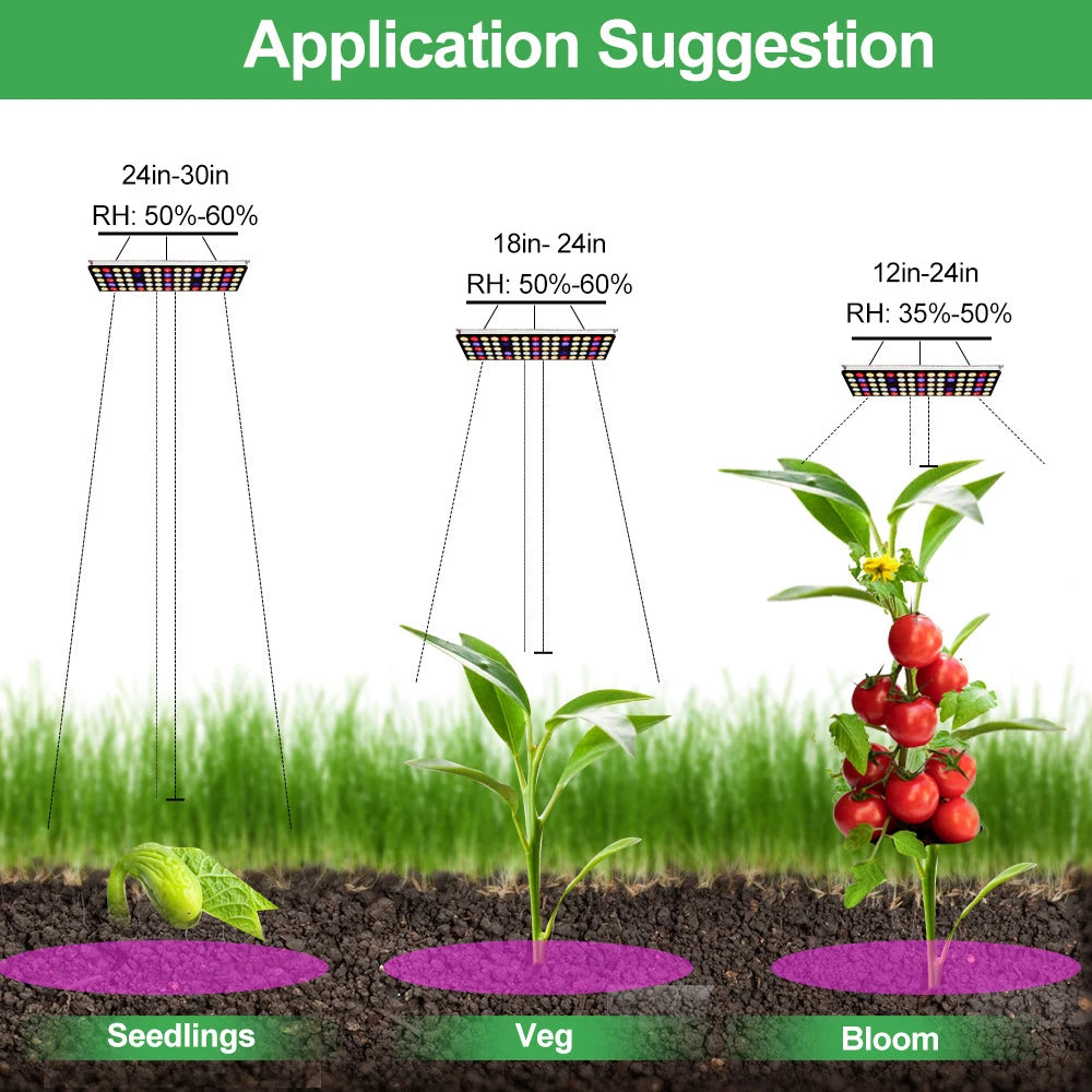 Dimmable LED Grow Light Full Spectrum 300W with Dimmer Timer for Indoor Tent Garden Hydroponics Seedling Veg Bloom Plant Lamp Vue