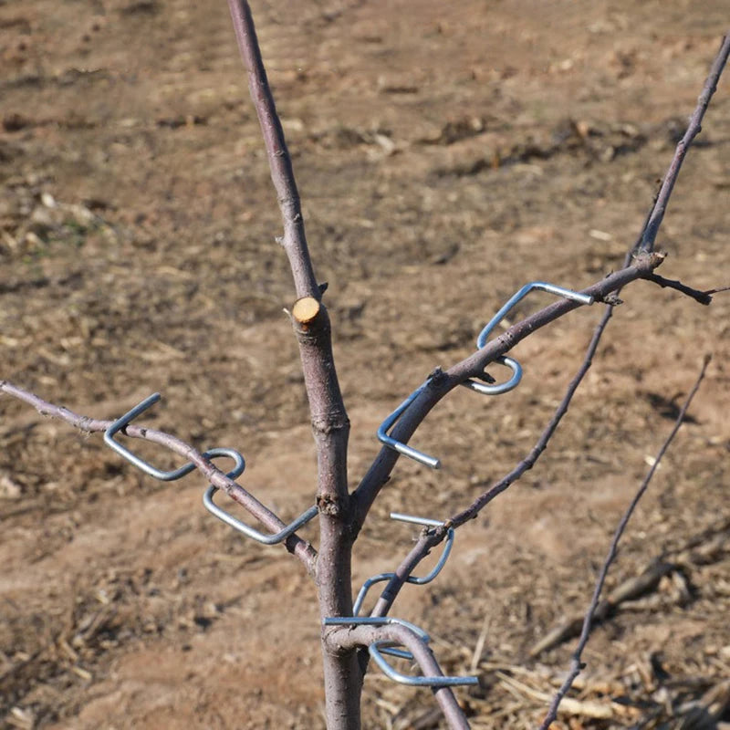 10PCS Reusable Branch Limb Spreader Garden Yard Trees Branches Fixator Strong Fruit Tree Support Holder Vine Trainers Vue