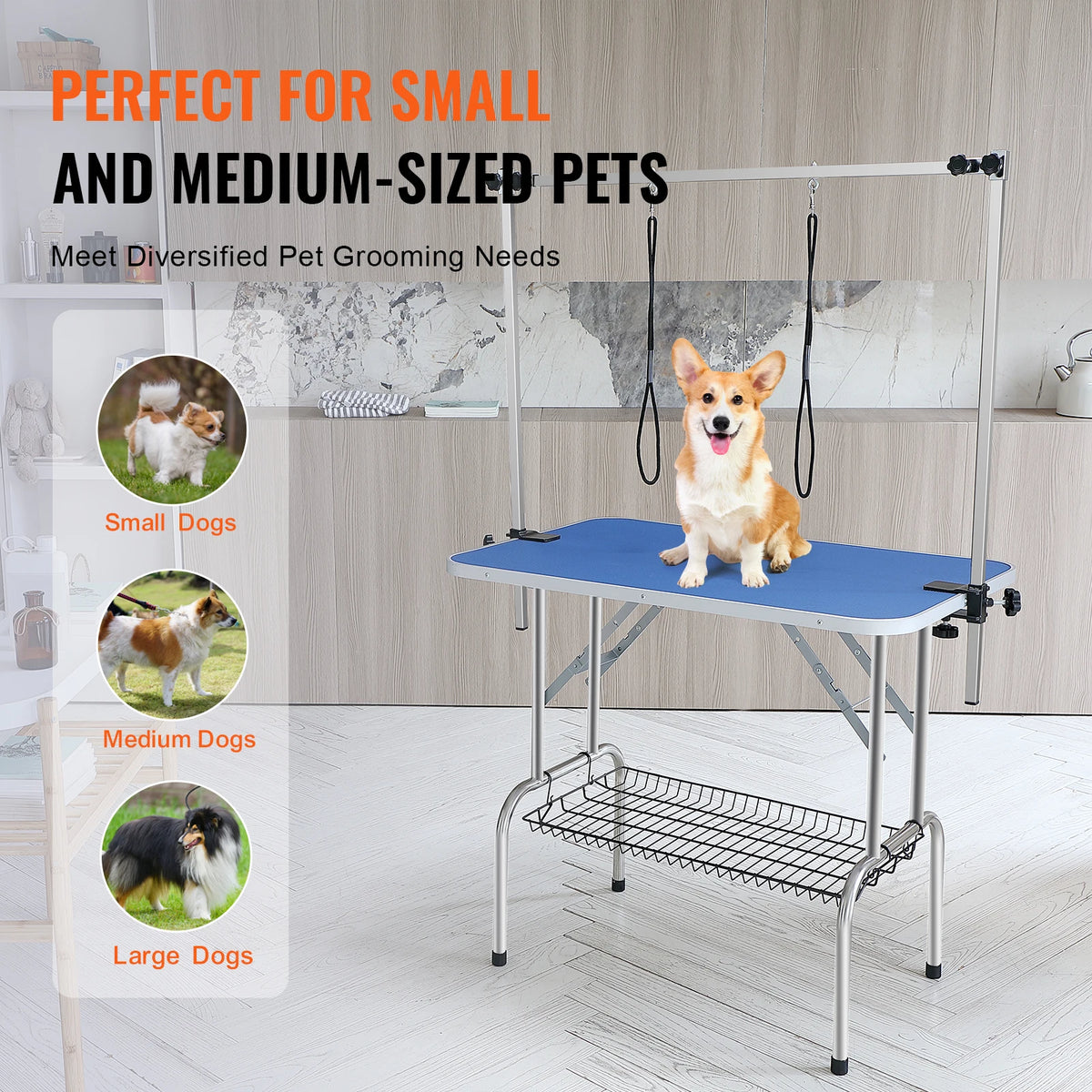 Foldable Dog Grooming Table with Dual Arms & Grooming Loop Pet Grooming Table Vue