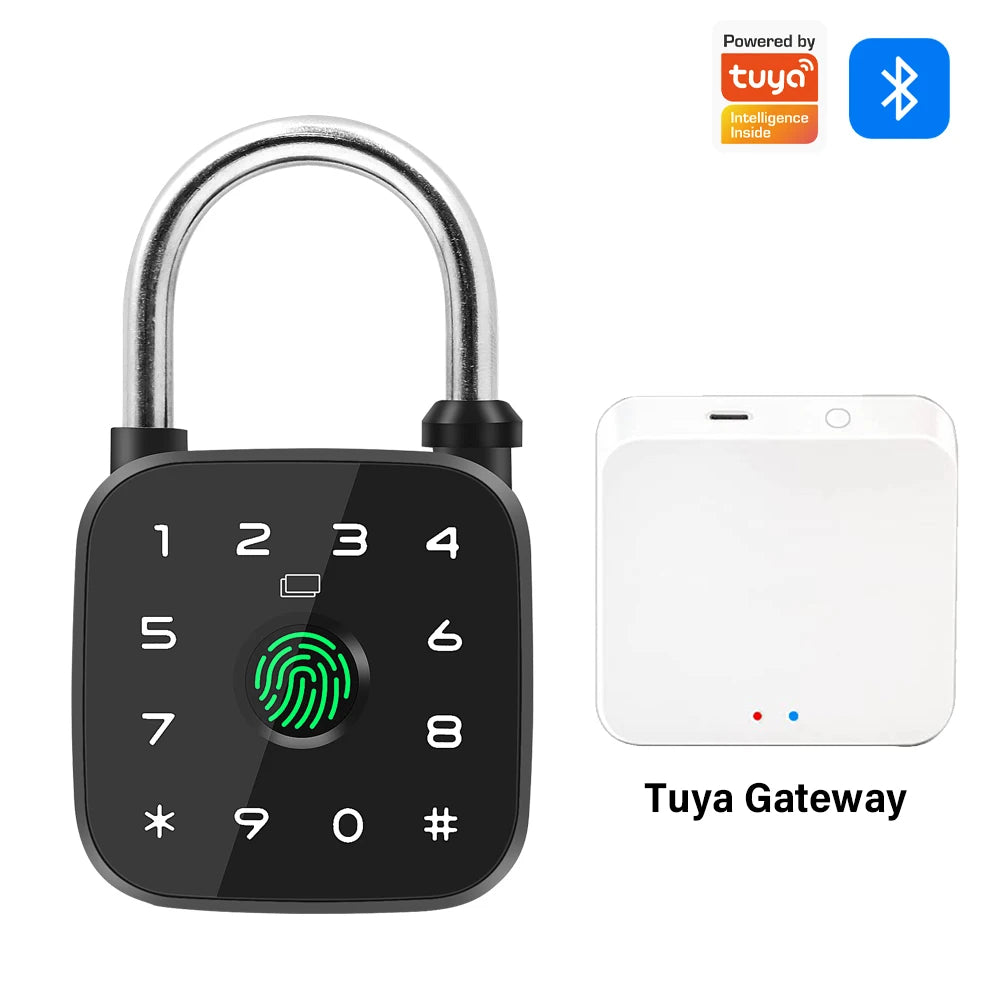 Fingerprint Padlock Password Dormitory Drawer Door Lock Anti-Theft Portable RFID Card Mechanical Key Supports Tuya App Vue LD911-tuya-M1-wifi
