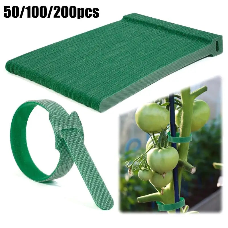 Adjustable Plant Ties 50 100 200pcs Nylon Reusable Non Slip Hook for Balcony Garden Flower Stalk Binding Vue
