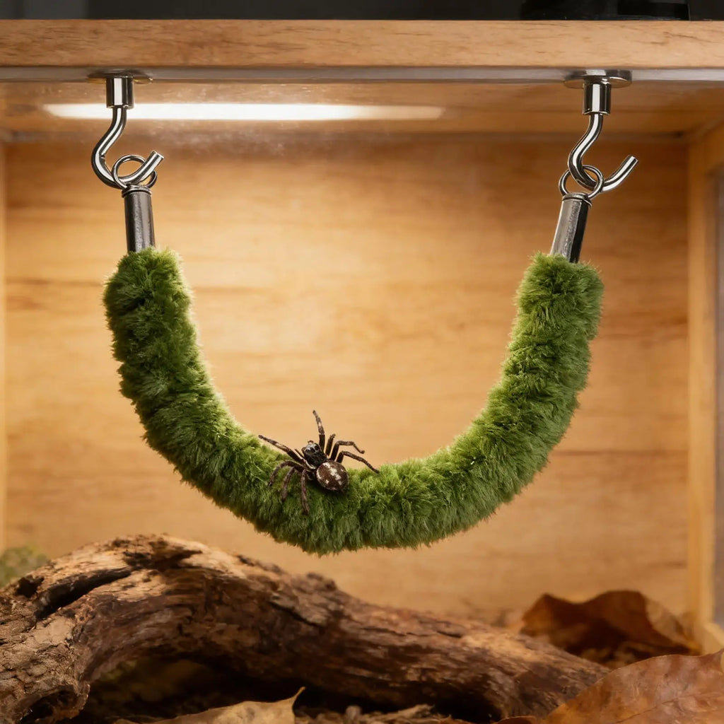 Jumping Spider Bridge Hermit Crab Climbing Supplies Spider Enclosure Bridge Swings for Pet Keepers Teachers Nature Lovers Vue