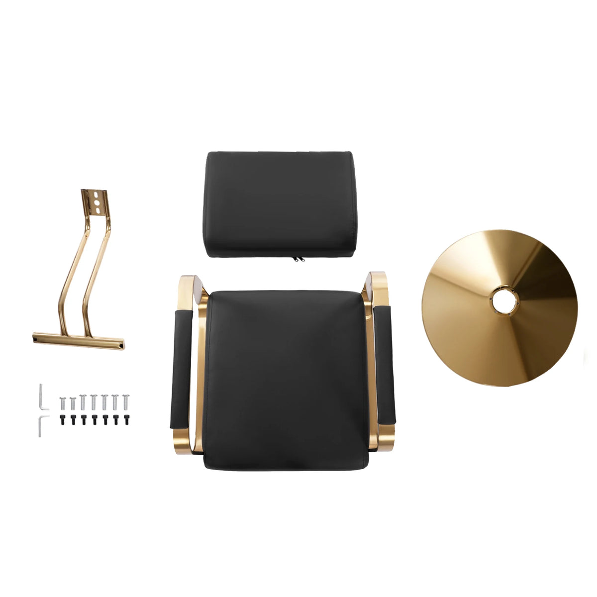 360° Rotating Barber Salon Chair | Hydraulic | 440 lbs Gold Barber Salon Chair Vue