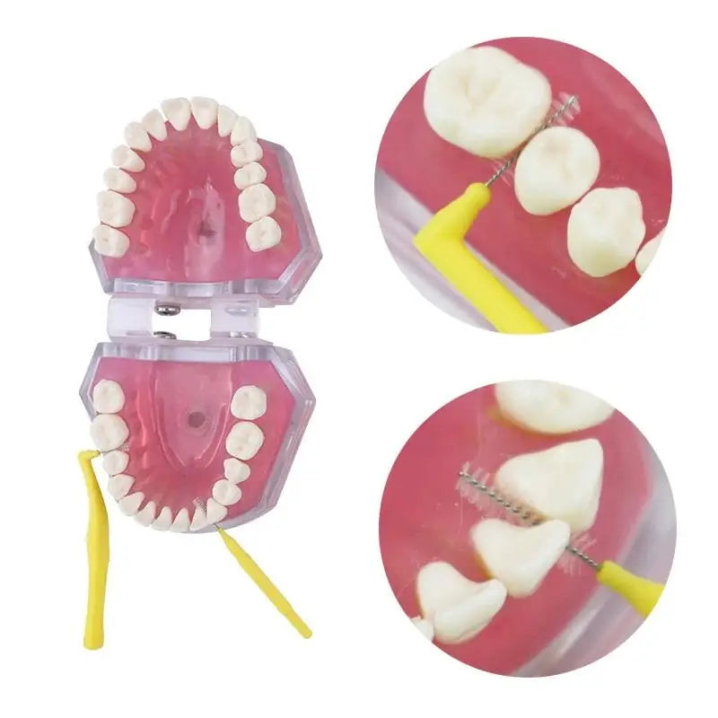 Care Kit Detachable Toothbrush with Interdental Brush Tongue Scraper Reusable Oral Set For Home Office Travel Vue