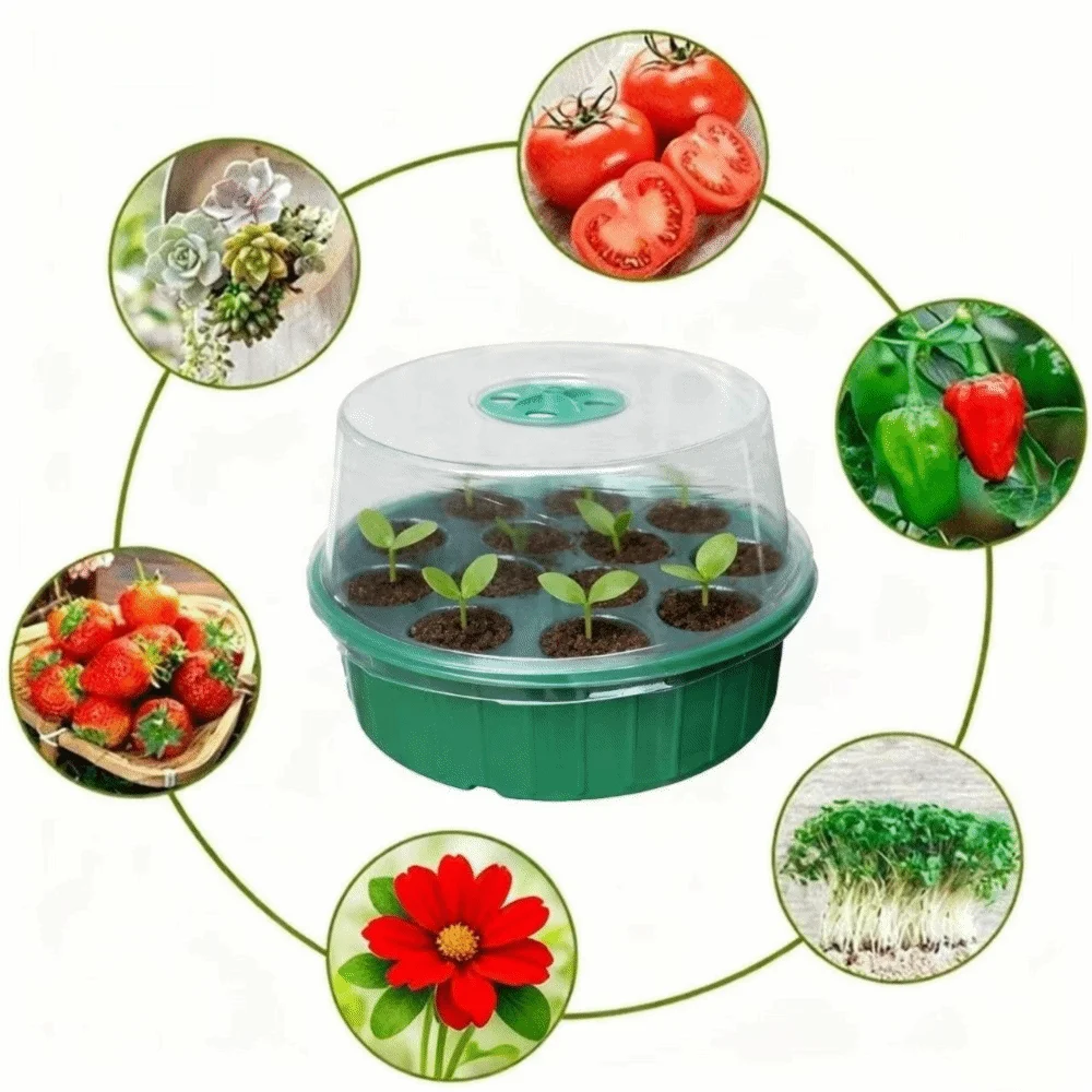 13 Hole Plant Seedling Tray Transparent Cover Insulated Hydroponic Seedling Tray Moisture Retention Plastic Vue