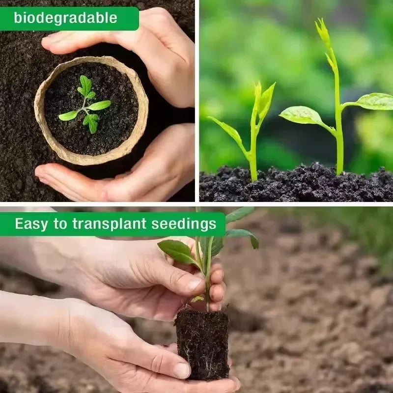 20-160PCS ﻿ 3.15 Inch Biodegradable Paper Pulp Seedling Starter Trays for Garden Planting Nursery Seed Germination Transplanting Vue