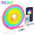USB 5V RGBIC LED Neon Strip Light Dream Color Flexible Silicone Tape with Remote Control for TV Backlight Bedroom Home Decor Vue RGBIC 1M