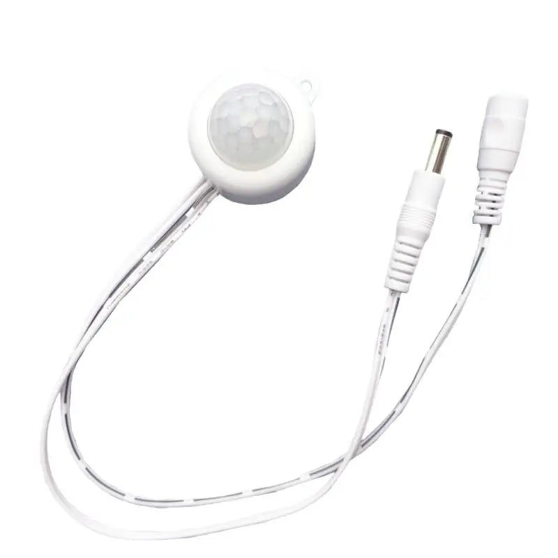25cm Human Induction Infrared Detector Night Sensor Switch DC 5V-24V PIR Motion Sensor Light Switch Vue