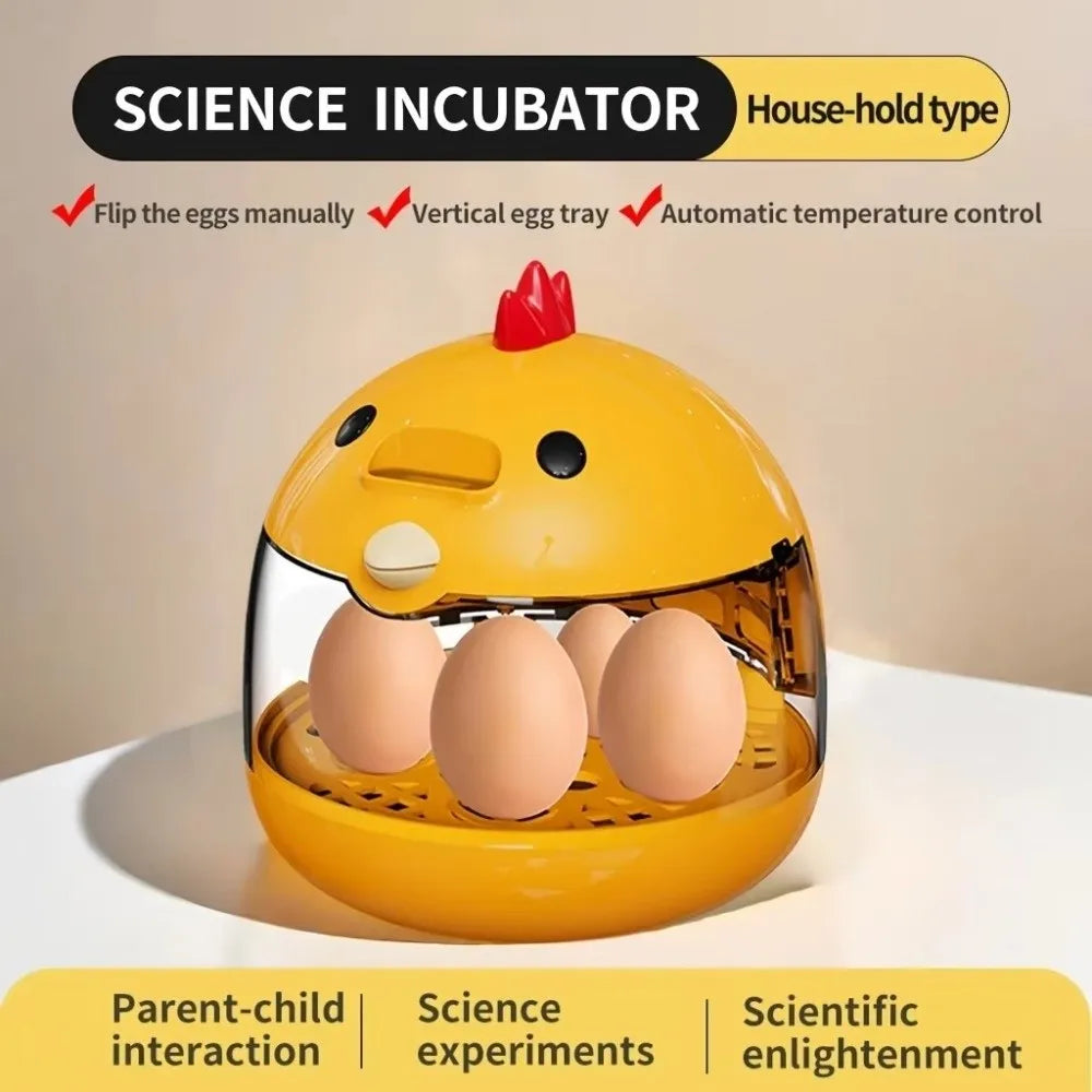 Transparent Window Eggs Incubator Humidity Control Low Noise Eggs Hatcher Machine Automatic Temperature Control Sturdy Vue