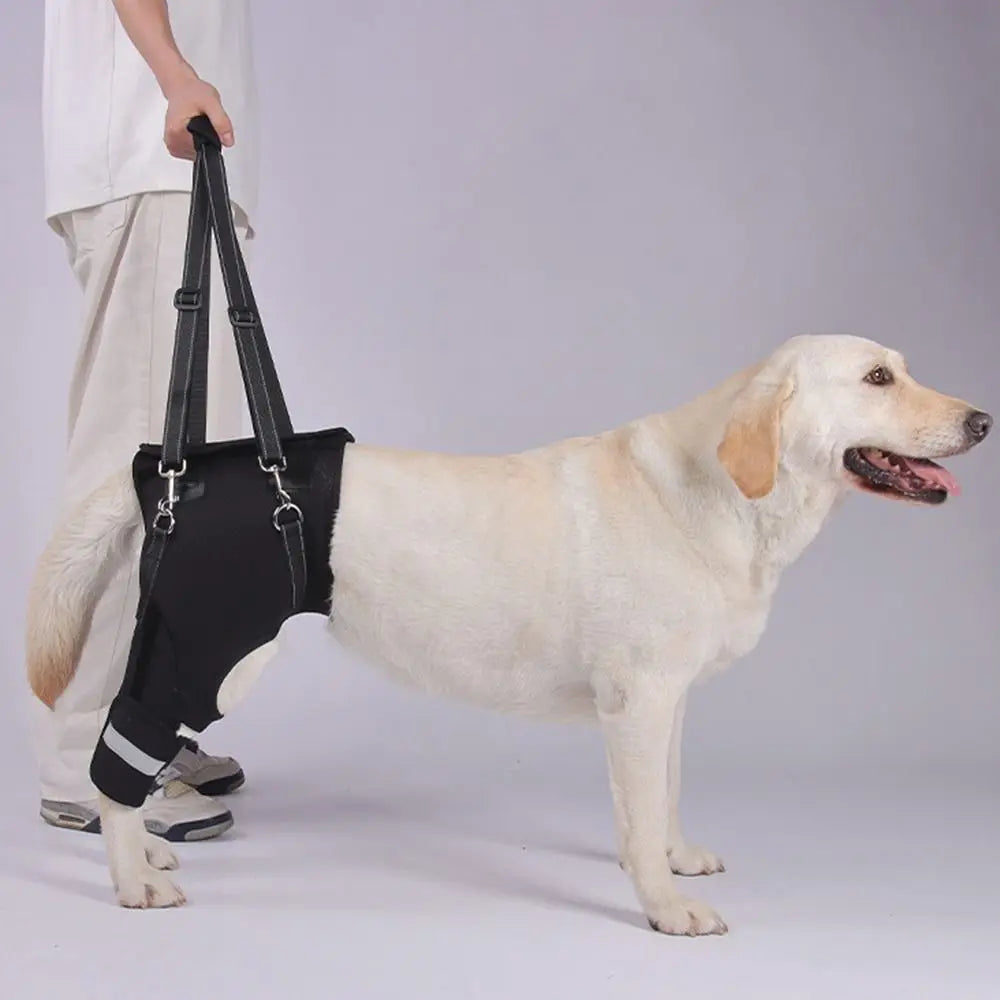 Legs Hip Support Dog Lift Harness Adjustable Black Pet Aid Assist Tool Breathable Soft Padded Dog Rear Leg Support Vue