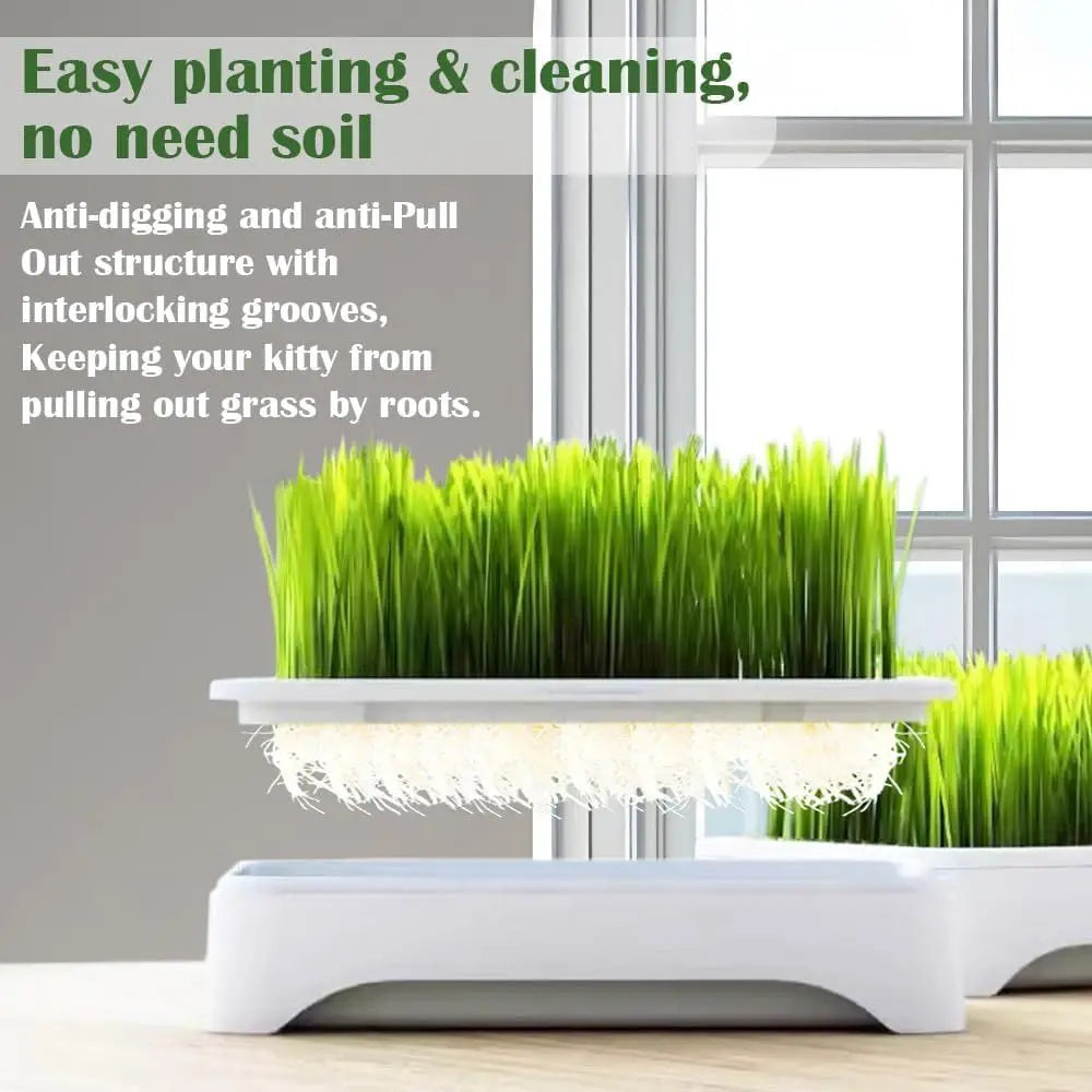 Plastic Cat Grass Planter Self-planted Tray Growth System Soil-Free Nursery Box 3 Layer Cultivation Pot Hydroponic Tray Vue