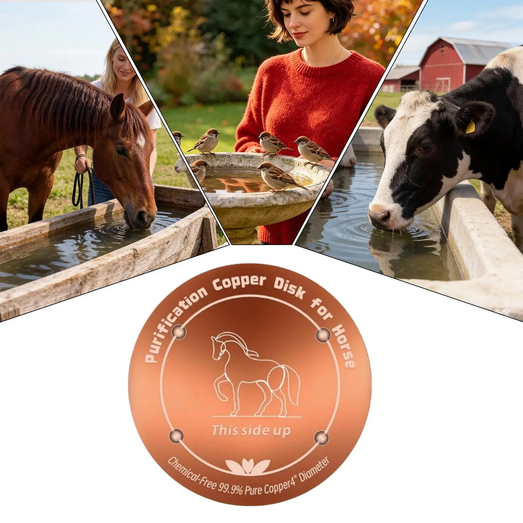 4 Inch Animal Copper Disc, Physical Safe Cleaning Purifier for Bird Baths, All-Season Pool Pond Cleaner for Farm Ranch Outdoor Vue