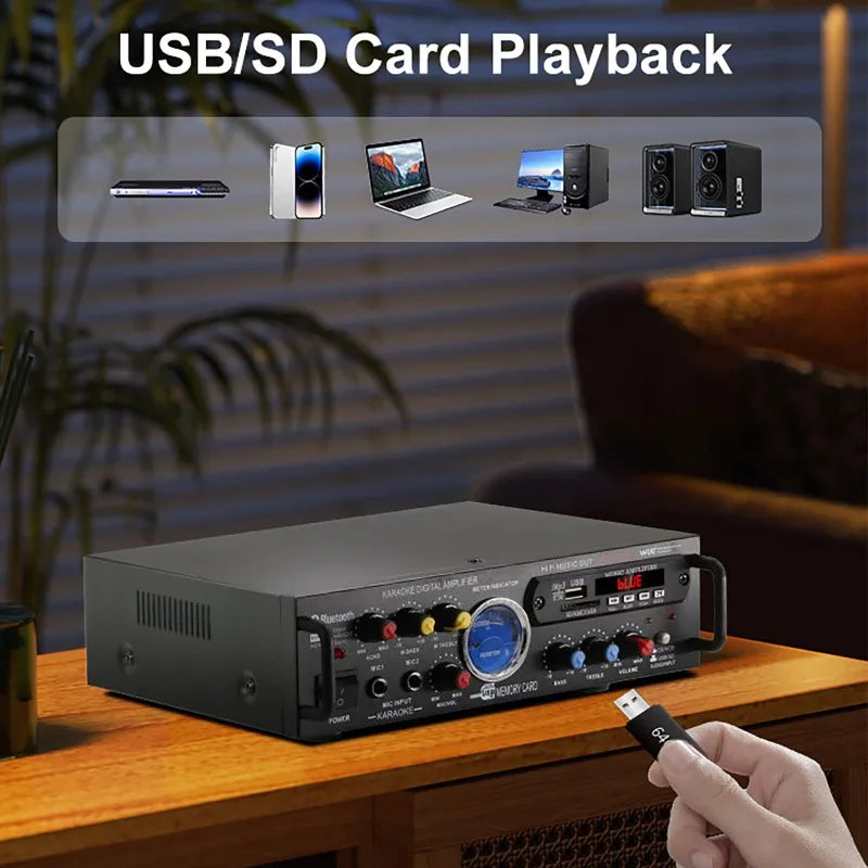12V 220V HiFi Digital Bluetooth Amplify Channel Surround Sound Amplifiers Home Plug and Play Car Onboard Professional Amplifier Vue