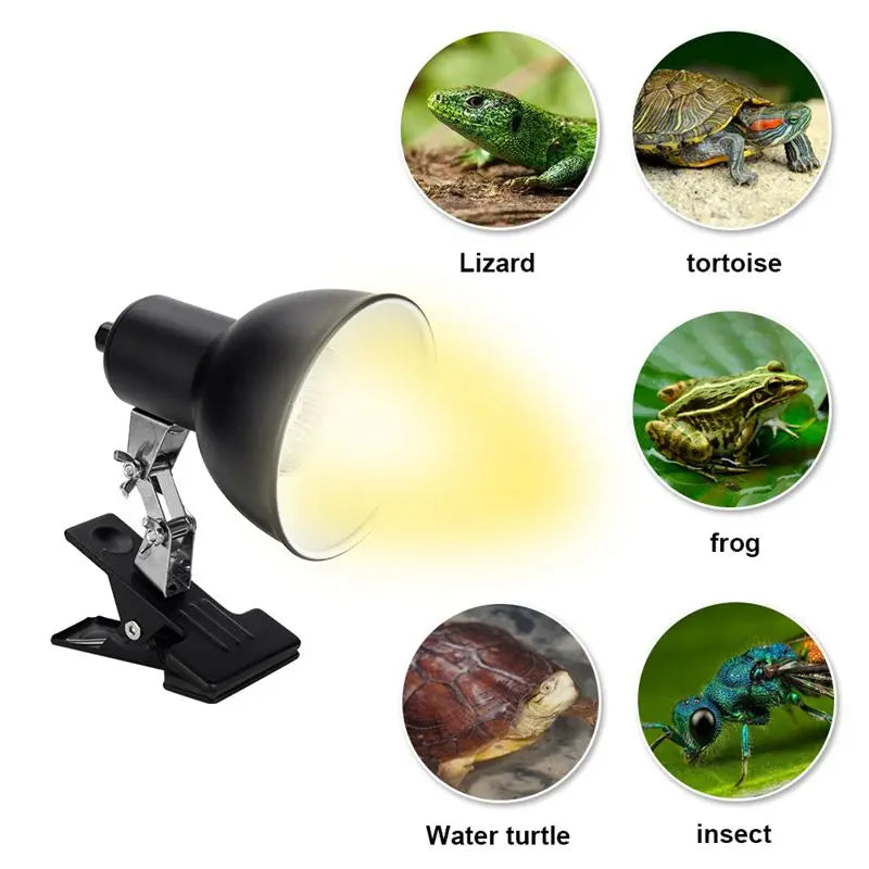 1pc Reptiles Backlight Multi-angle Adjustment Heating Insulation Clamp Lamp Tortoise Lizard Back Drying Lamp Vue