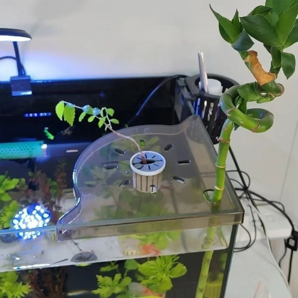 Transparent Aquarium Corner Shelf Plastic Triangle Fish Tank Storage Rack Space Saving Drain Aquarium Landscape Stand Water Tank Vue