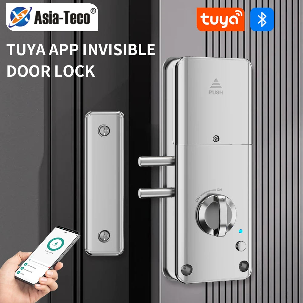 Home Smart Door Lock Handle Hidden Battery Anti Theft Smart Electronic Keyless Lock Security Entry With Tuya App Alexa Google Vue