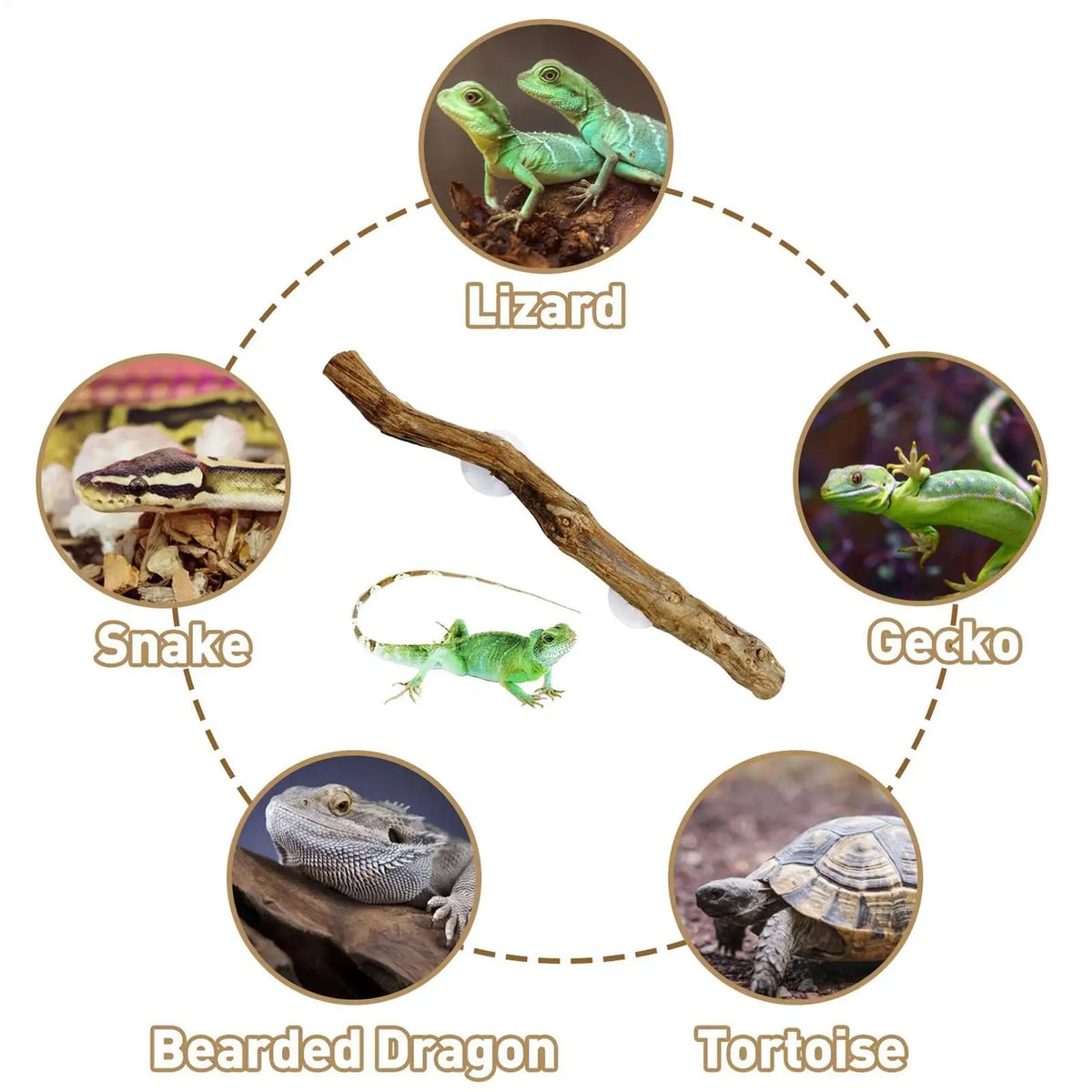 Snake Climbing Branch Unique Snake Climbing Decor Natural Non-slip Habitat Decorations Reptile Decor for Bearded Dragon Snake Vue