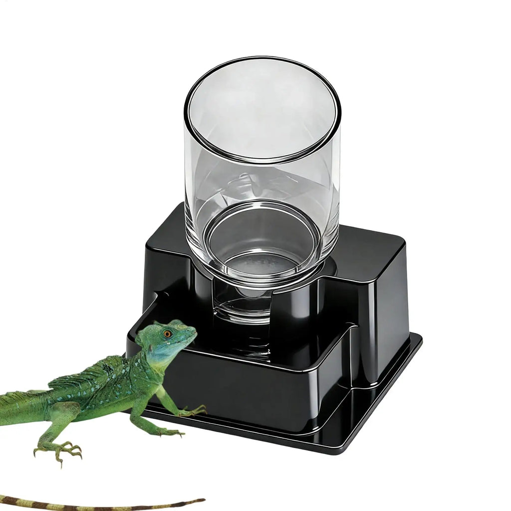 Automatic Gravity Water Dispenser Reptile Feeder Detachable Bowl for Lizard Snake Tortoise Chameleon Gecko No Electricity Vue