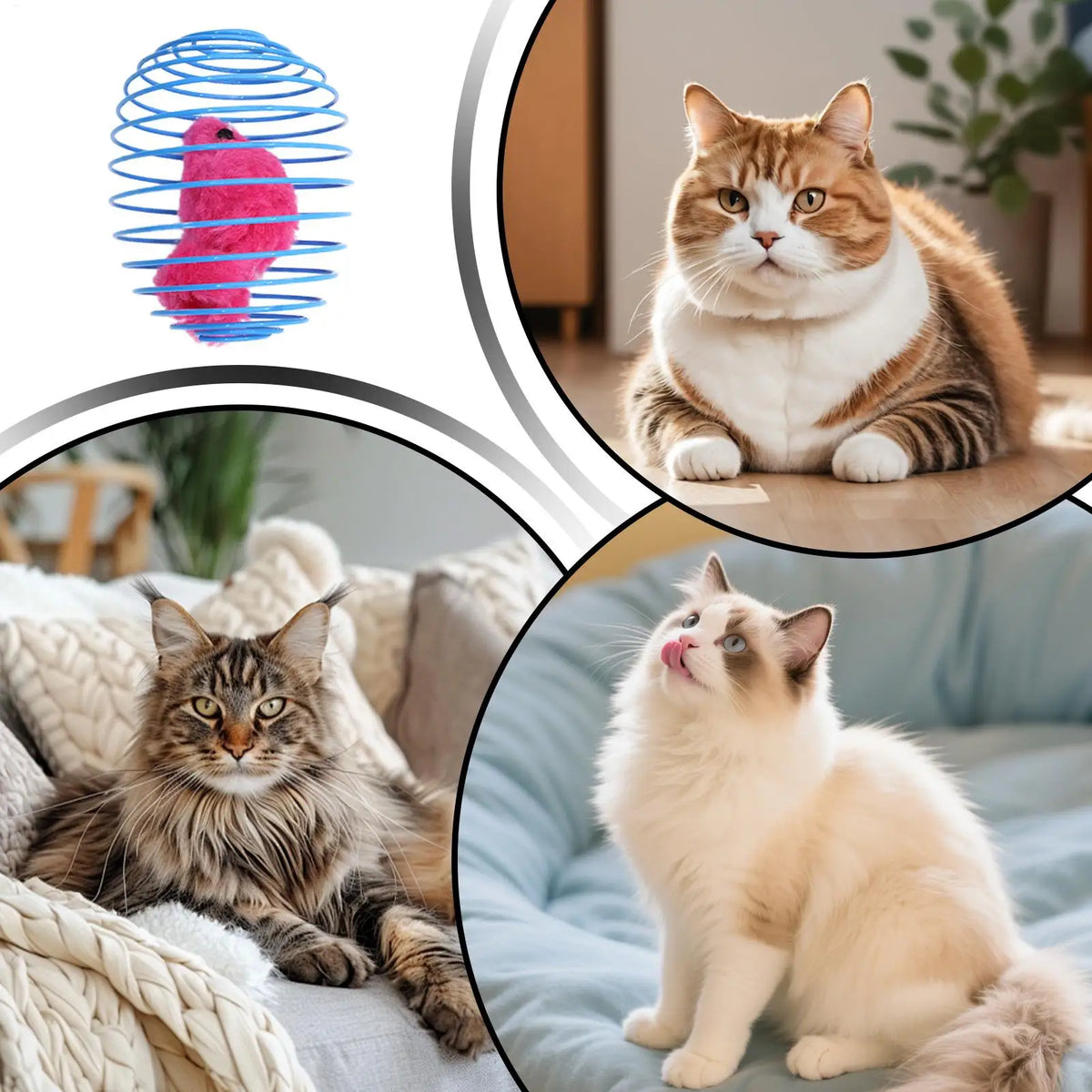 1pcs Cat Toy Balls Funny Stretchable Kitten Springs Toys Interactive Caged Rats Rolling Cat Balls Toy For Cat Dog Random Color Vue