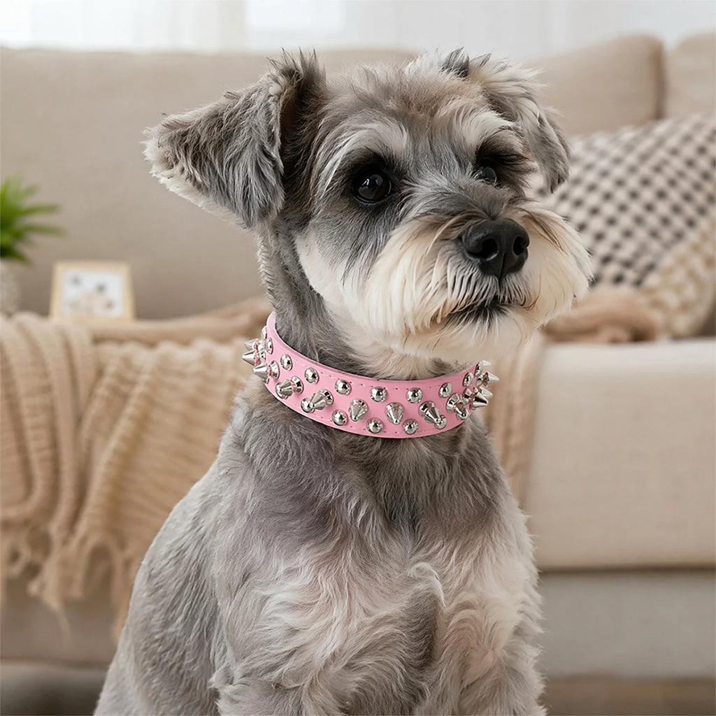 Spiked PU Leather Dog & Cat Collar | Rivet Punk Stud Style Spiked Pet Collar Vue