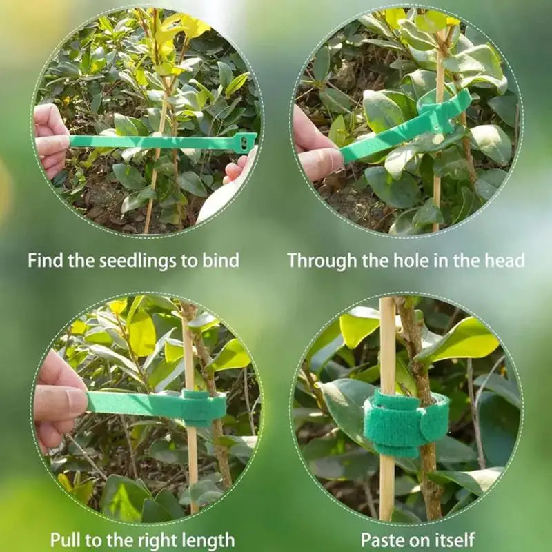 Adjustable Plant Ties 50 100 200pcs Nylon Reusable Non Slip Hook for Balcony Garden Flower Stalk Binding Vue