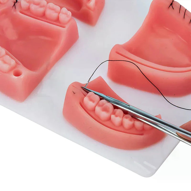 Dental Gum Skin Suture Surgical Practice Medical Skin Suture Pad Lab Model Silicone Periodontitis Suture Model Training Kit Vue