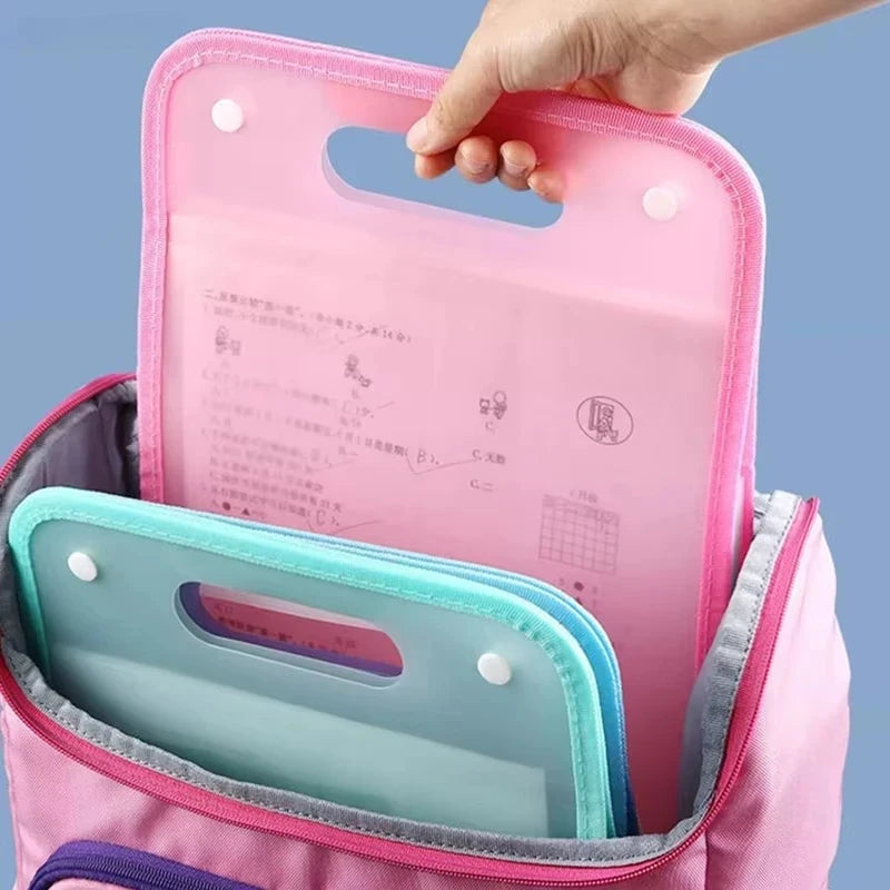 13-Pocket Accordion File Organizer | Macaron Expanding Folder Accordion File Organizer Vue