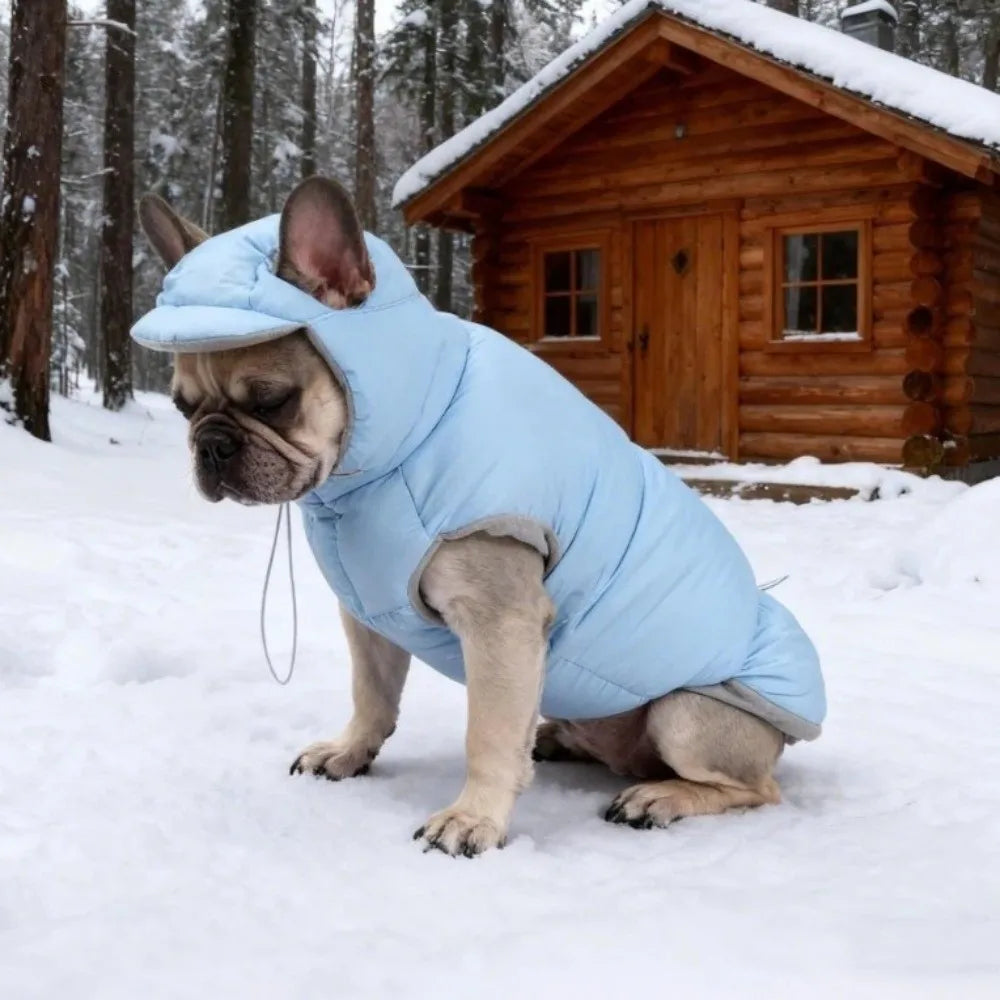 Fashion Warm Dog Down Jacket Thickened Comfortable Winter Cotton Coat Cold Protection Adjustable Dog Hood Coat Small Medium Dogs Vue