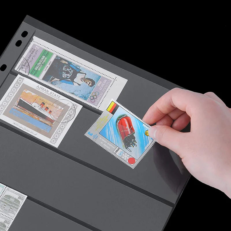 1/2/3/4/5/6-slot Loose Leaf 10/20Pcs Money Banknote Holder Sleeves Sheet Album Home Decor Photo Albums Banknote Protection Vue