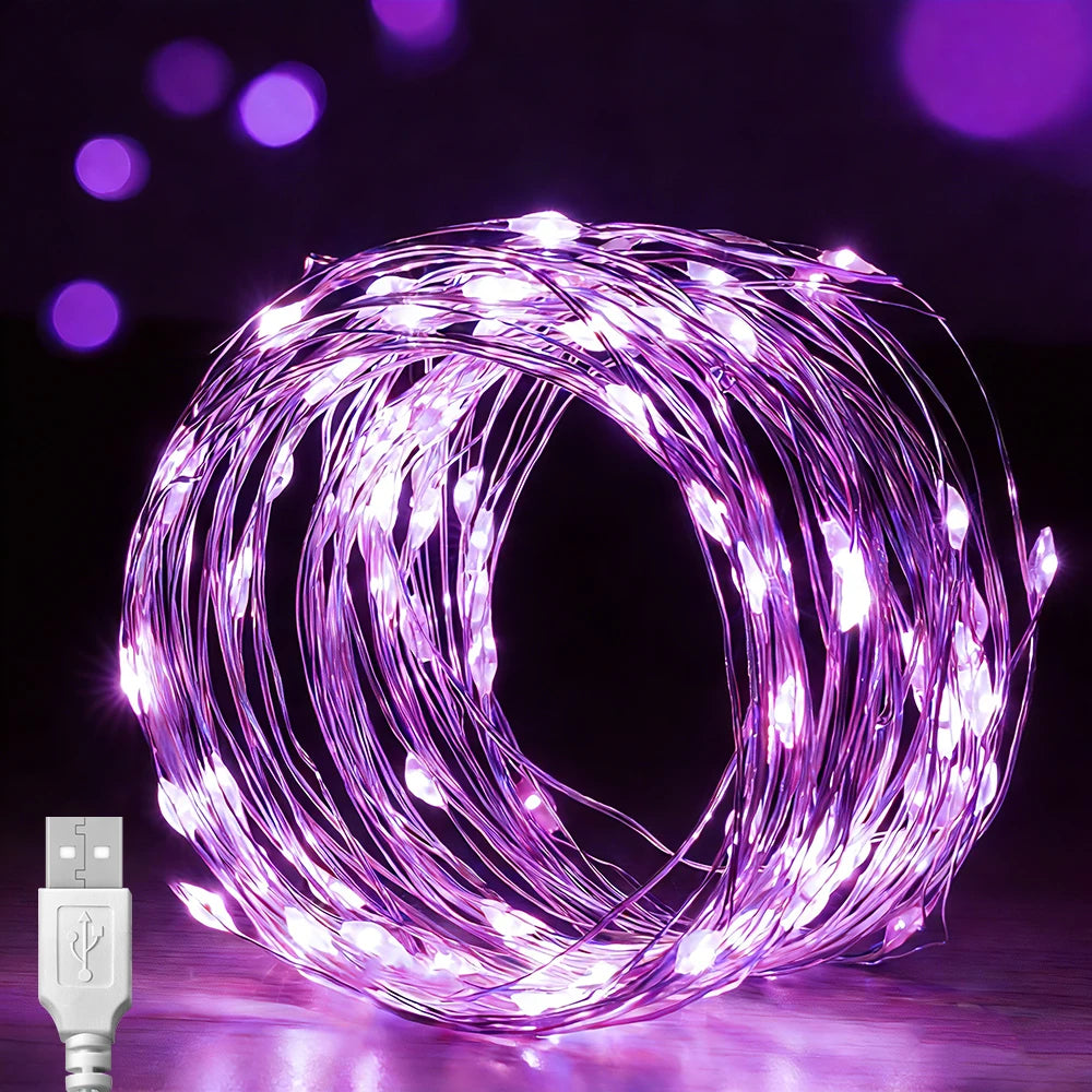 Fairy String Lights 20m 200LEDs Copper USB Powered String Light Waterproof Twinkle String Lights for Bedroom Christmas Party De Vue Purple Light 2M 20LEDs-1pcs