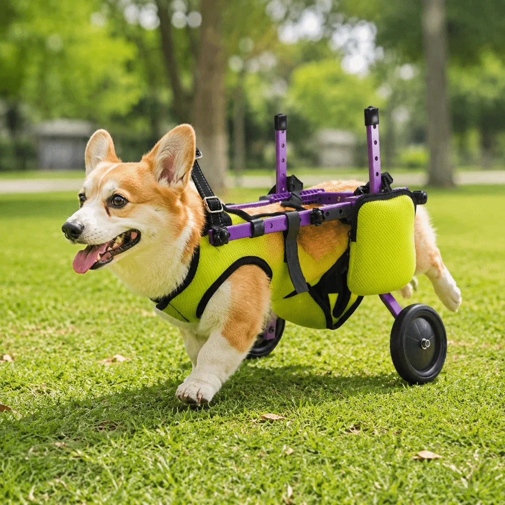 Adjustable Dog Wheelchair Hind Leg Support Breathable Cat Recovery Aid Car with Wheels Pet Hind Legs Bracket Disabled Pet Vue