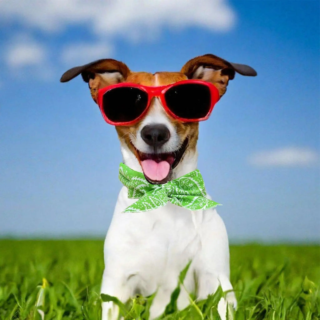 Dog Cooling Bandana Breathable Absorbent Towel Ice Neck Wraps Scarf for Cat Puppy Medium Large Small Home Travel Outdoor Hiking Vue