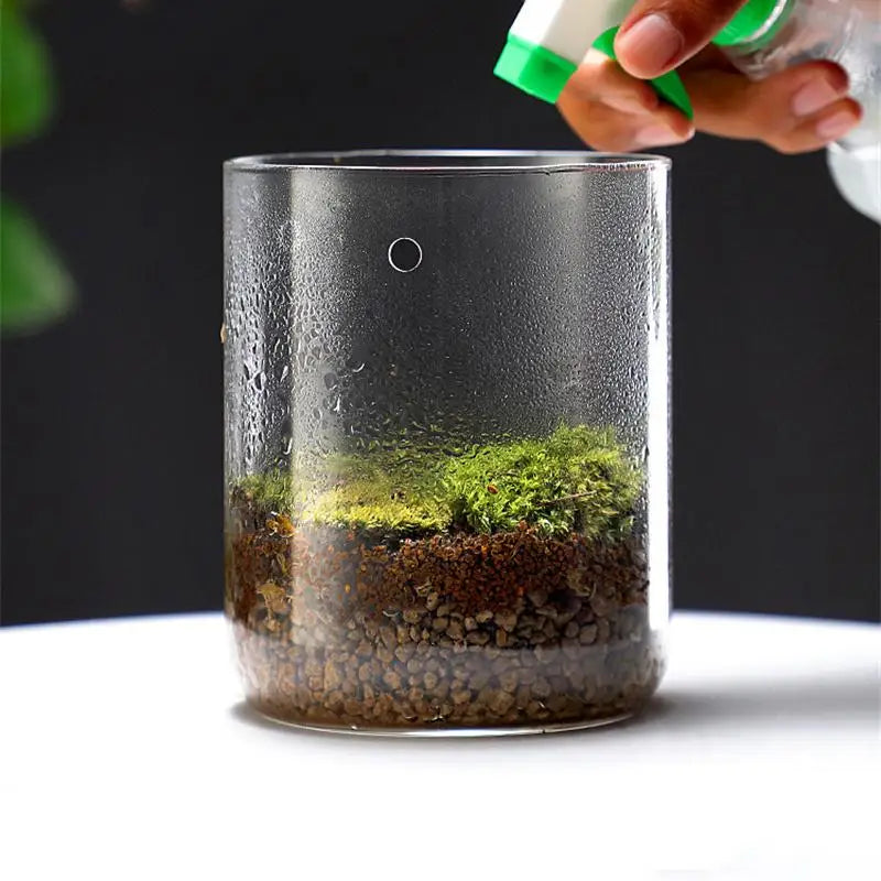Glass Bottles Creativity Dew Collection Vase Micro Landscape