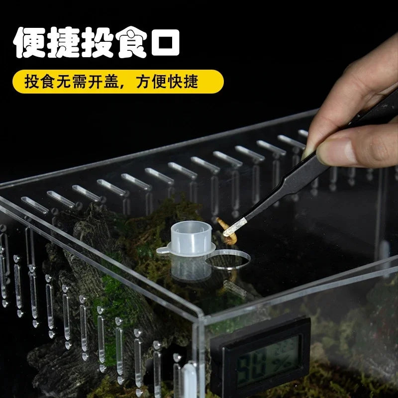 Transparent Acrylic Reptile Terrarium Enclosure For Geckos Lizards Snakes Desktop Table Display For Home Office Decor For Kids Vue