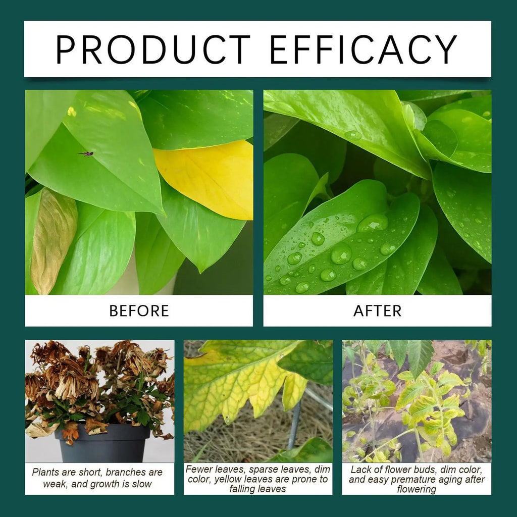 100ml Plant Rooting Liquid Drops Root Grow Stimulator Rooting Hormne Concentrate For Indoor Outdoor Gardening Hydroponic Growing Vue