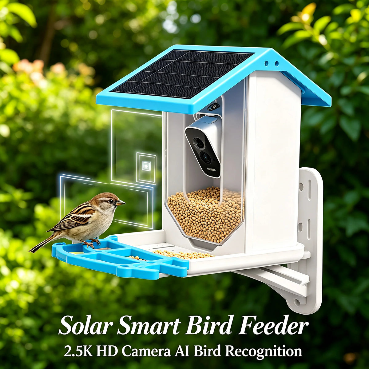 Solar Bird Feeder with 2.5K Camera, AI Bird ID & Night Vision Smart Bird Feeder Camera Vue